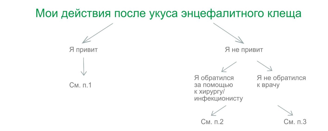 deystviya.jpg