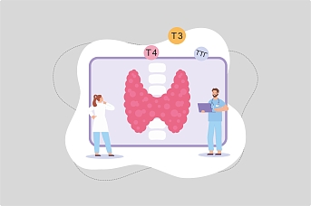 ТТГ — главный гормон щитовидной железы. Разбираемся в анализах с эндокринологом