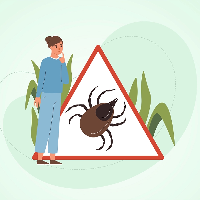 Последовательность действий при укусе клеща